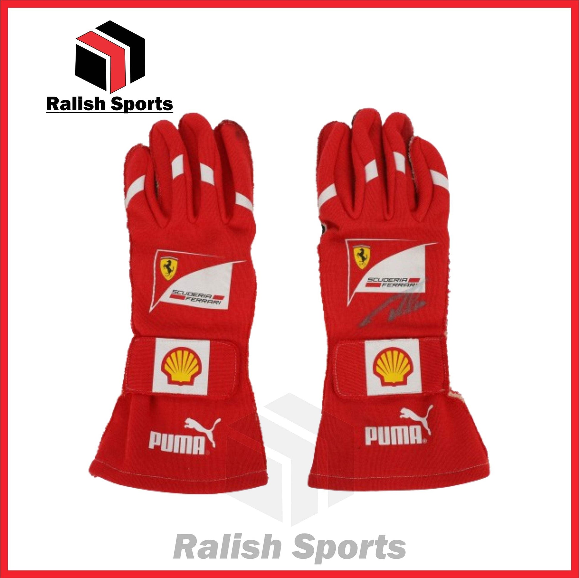 Fernando Alonso Gloves 2012 - Ralish Sports